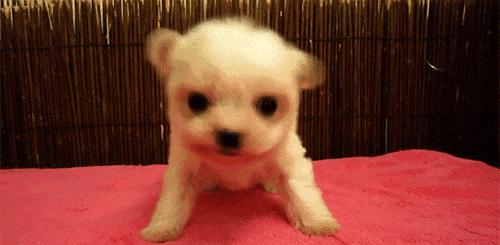 第一次用一款新的粉底液起痘 (不容易起痘痘的粉底液)