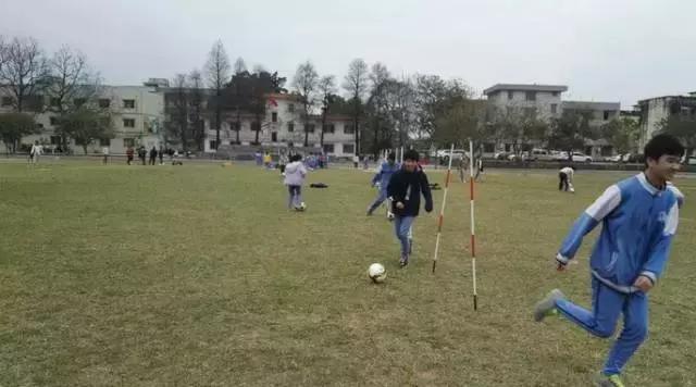 肇庆市足球特色学校有哪些,肇庆市有哪些体育学校
