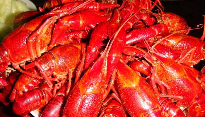 餐饮创业怎么找机会赚钱,餐饮创业的十大机会