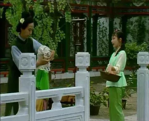 红楼梦何婆子图片,红楼梦何婆子打春燕