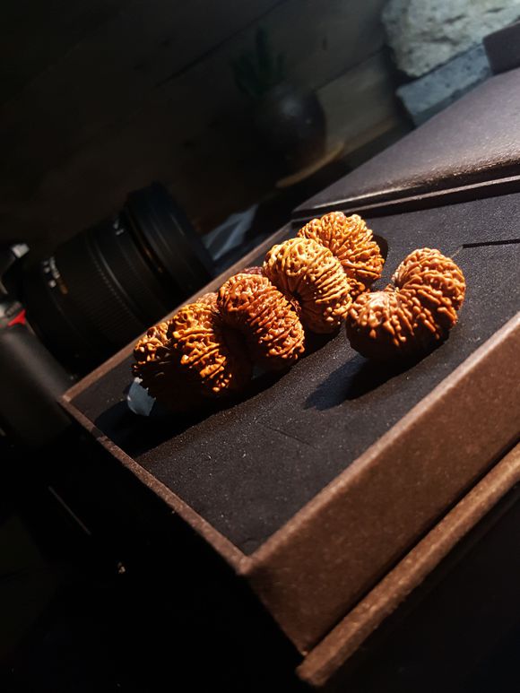 你的金刚菩提为什么玩不出牛筋红,你的金刚菩提为啥越盘越黑