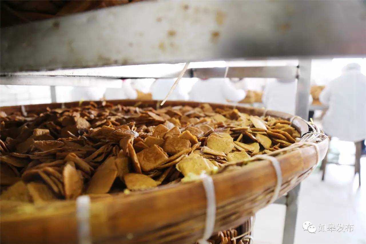 定了!从今天起,如皋白蒲古镇将列入每个人的旅行清单!