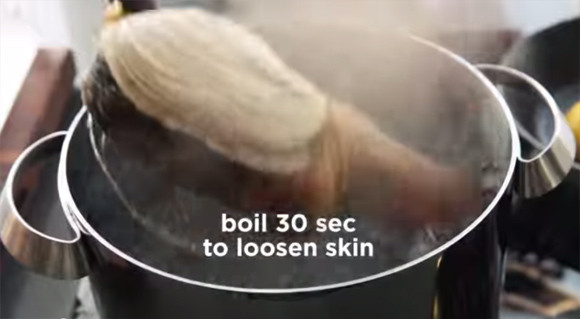 捕捞到各种鱼,捕捞到岸分拣