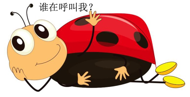 聊聊我们最熟悉的黄芩,熟记十二属相的技巧