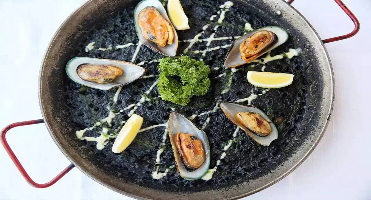 娱乐节最新节目,娱人节是什么意思