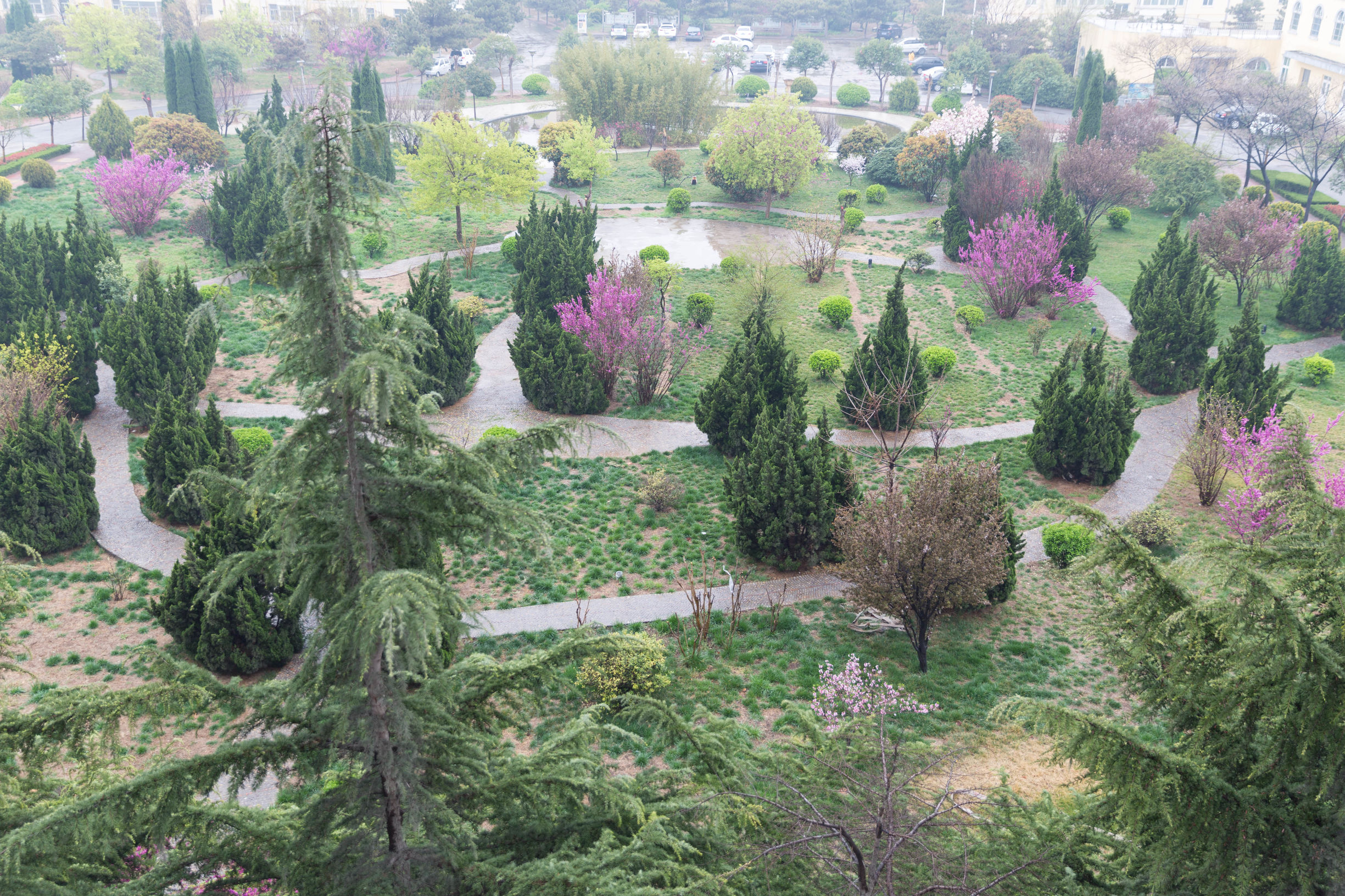 单反和手机拍照为啥差别那么大,单反手机照相效果对比