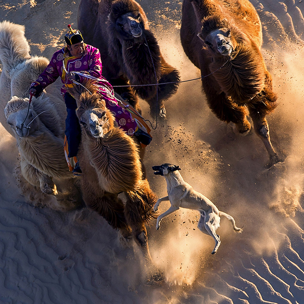 通辽宝古图沙漠最佳旅游时间,内蒙古通辽市宝古图沙漠旅游区