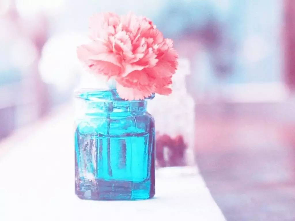 穿上你的衣服沾染你的气息,穿上属于自己的衣服