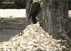 下雨天发个幽默朋友圈视频,下雨天发个幽默句子