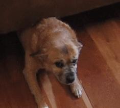 姑娘,别再抬脚了,整个车厢都弥漫着你臭袜子的味道