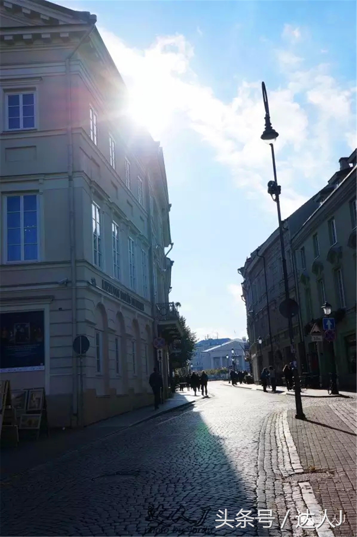 猜猜哪个国家连刺猬都有路牌？