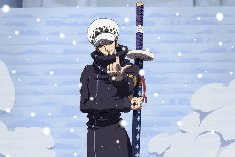 海贼王草帽海贼团11个成员是谁,海贼王草帽海贼团和海军军师对战