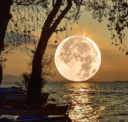 从三毛流浪记中感悟,三毛的经典一句话