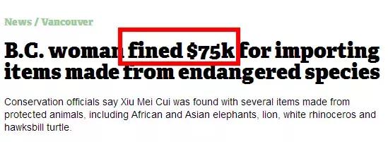 海关查扣奢侈品包包,海关扣留奢侈品包包