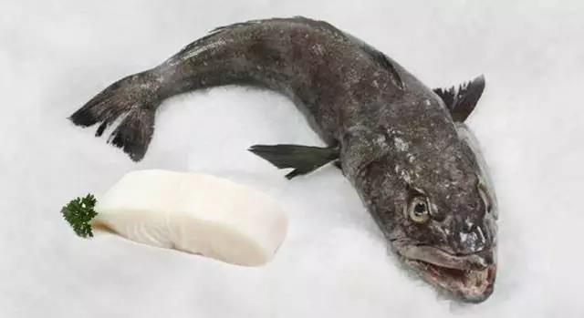 吃了假鳕鱼怎么办,假的银鳕鱼吃了会怎么样