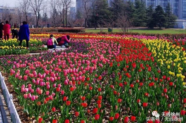 徐州桃花美景,徐州春天又见美好游玩