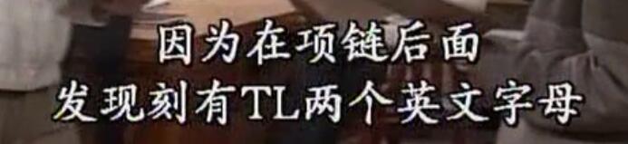 刑事侦缉档案袁天丽马成昌第五集,刑事侦缉档案袁天丽