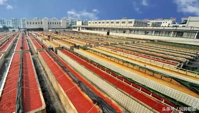 扶稳了，郫都人！郫都区13大镇在别人眼中居然是这样！