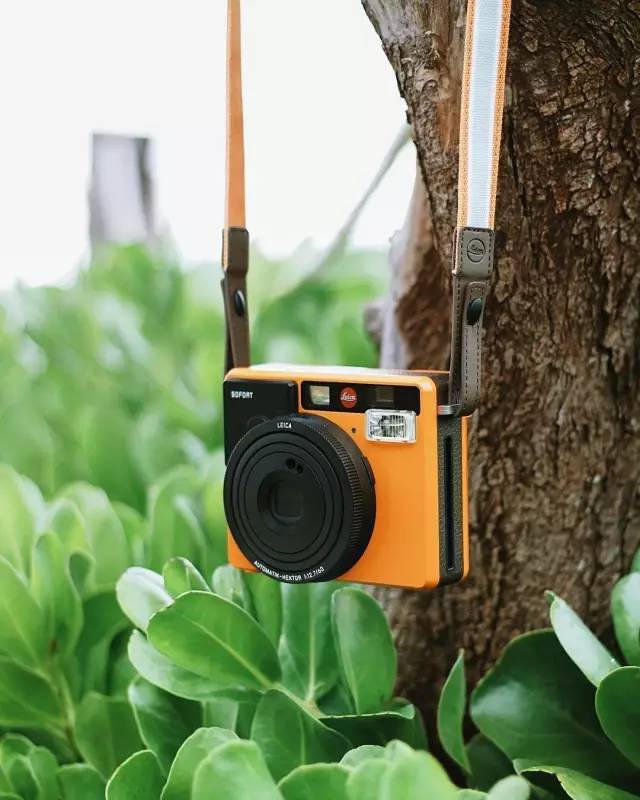 徕卡全新低价镜头,徕卡镜头2800万像素价格