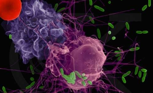 基因治疗、免疫细胞、免疫靶向治疗前路,我们拭目以待