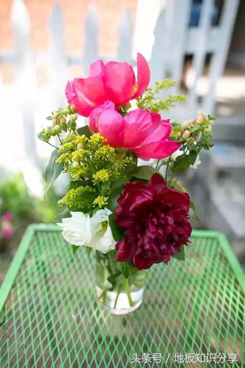 怎样插鲜花可以保鲜的时间久一点,插好的鲜花可以保持几天