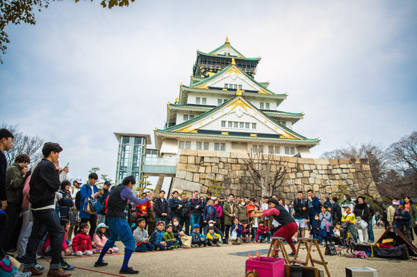 樱花烂漫几多时完整版,日本樱花节赏樱攻略视频大全