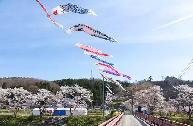 正逢樱花烂漫,何必远行带上这份攻略带你去赏樱