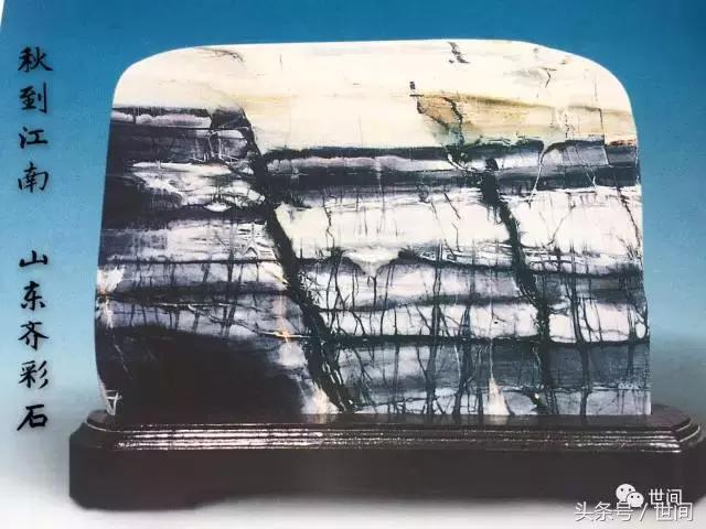 世间读书会第十一期丨魏嘉瓒·石韵