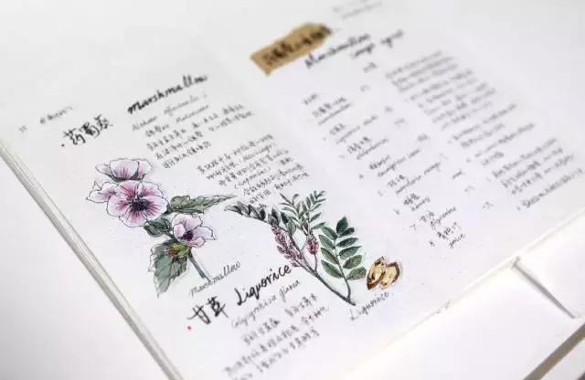 白富美气质优雅,端庄优雅白富美