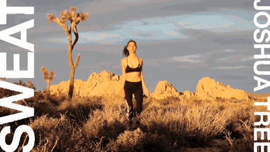 adrianneho李宁,adriannehosupreme