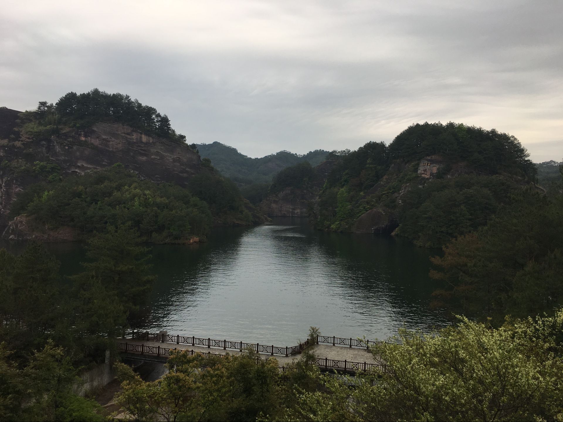 苏民峰2022年属虎运势及破解方法,属虎火木旺2022年运势