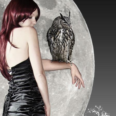 Photoshop设计梦幻边框的详细流程,photoshop项目式教程