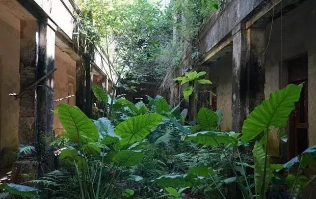 海口游玩攻略必去景点,海口旅游日常攻略大全最新