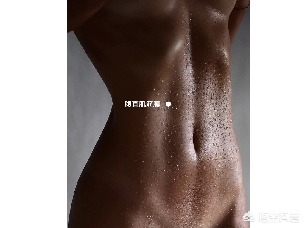 恢复腹横肌分离的动作,产后腹直肌分离怎么恢复训练视频