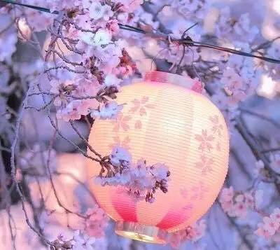 SusanCain：上天入地独一无二的你，又岂能被一个简简单单的“Leader”概括