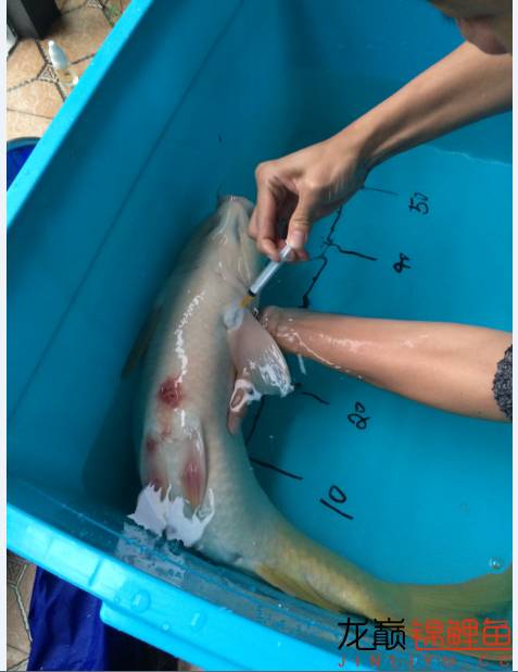 疖子的最佳治疗方法,疖子疮怎么治疗