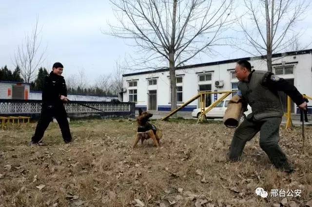 警察10秒勇擒逃犯,警察10秒钟擒获毒贩