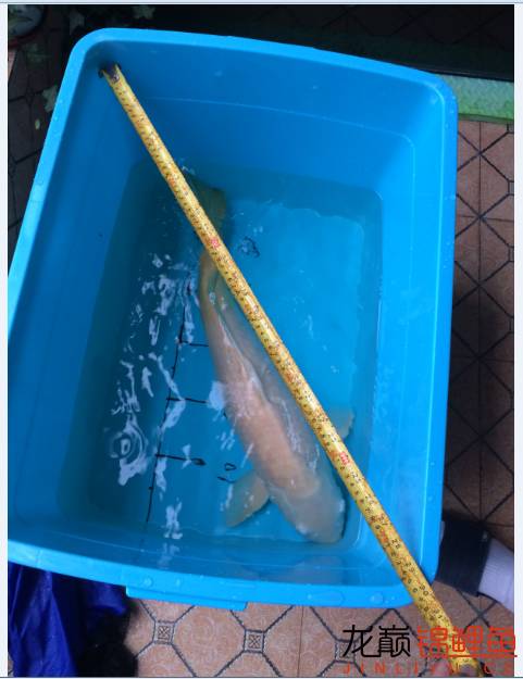 疖子的最佳治疗方法,疖子疮怎么治疗