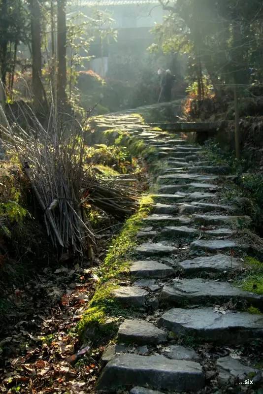 青田旅游路线推荐,青田周末自驾游