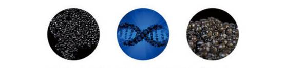 5折福利|专治重度美颜相机依赖症的英国古方药妆