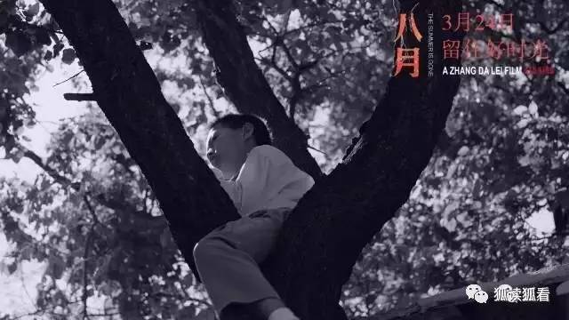 看完八月未央决定放手,看完八月未央还是没有释怀