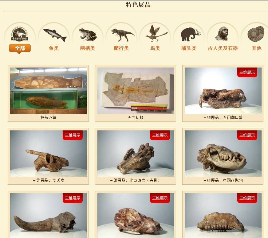 关于科普恐龙的网站,关于恐龙的科普书