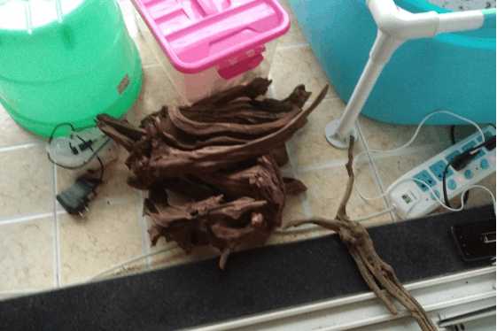 最便宜的鱼池推荐,一个观赏鱼池大概多少钱