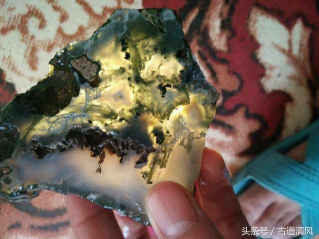 什么样的水草不需要光,水草玛瑙的保养