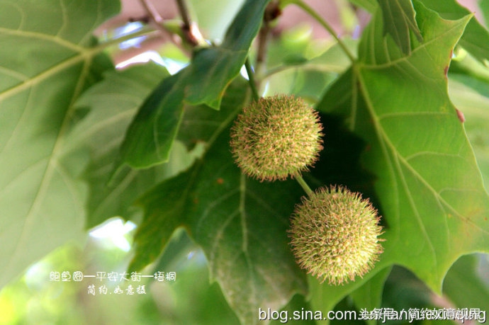 鲅鱼圈二天一晚攻略,鲅鱼圈两日游的最佳行程是
