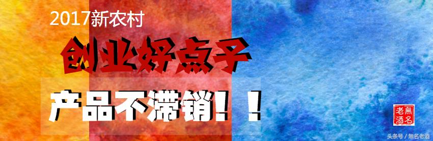 新农村好点子,农村最新创业点子