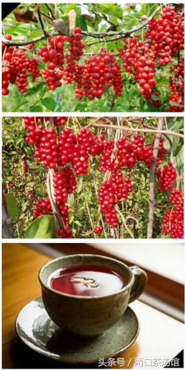 大别山深处的绝美山珍!