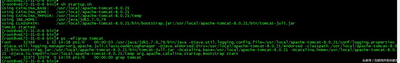 不知名博主金山云大米主机体验日志