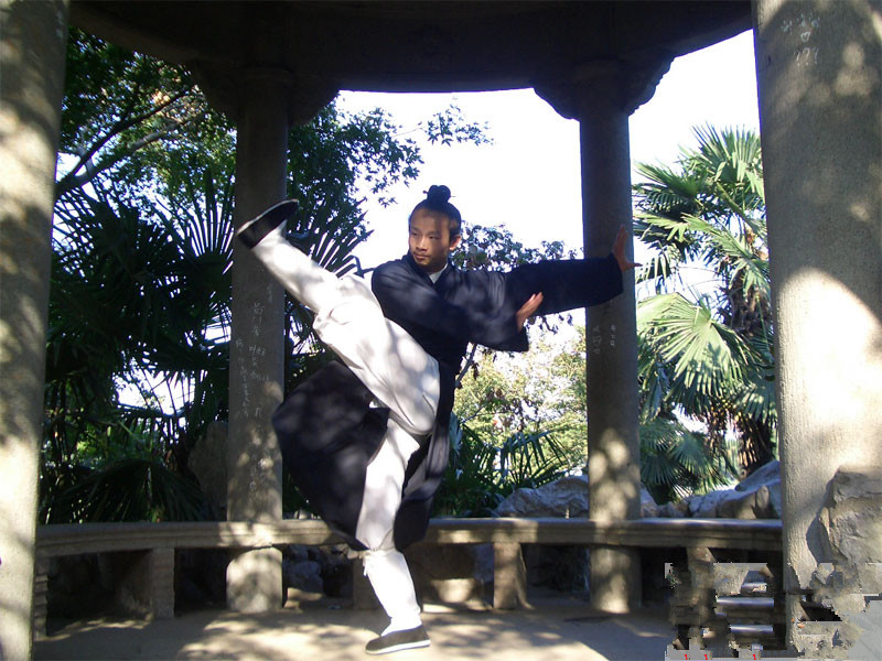 武当太极十三式养生功,武当太极十三势口诀