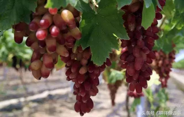 一封辞职信火遍长春,又一封辞职信刷爆朋友圈